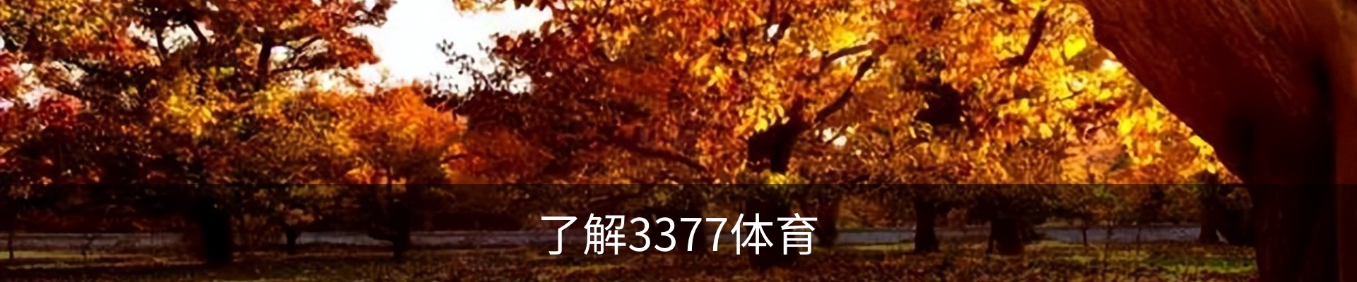 了解3377体育